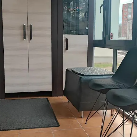 Amber * Druskininkai