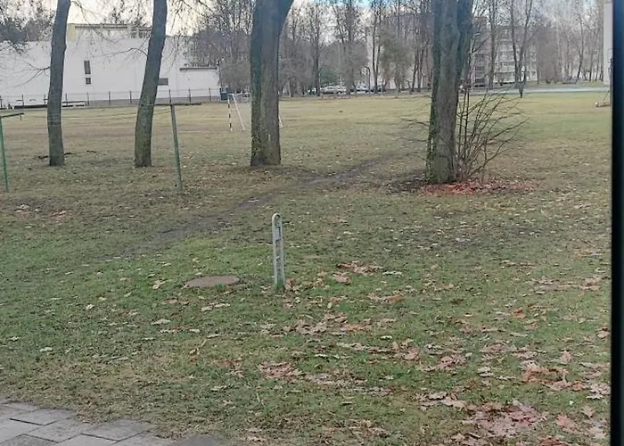 Apartment Amber Druskininkai